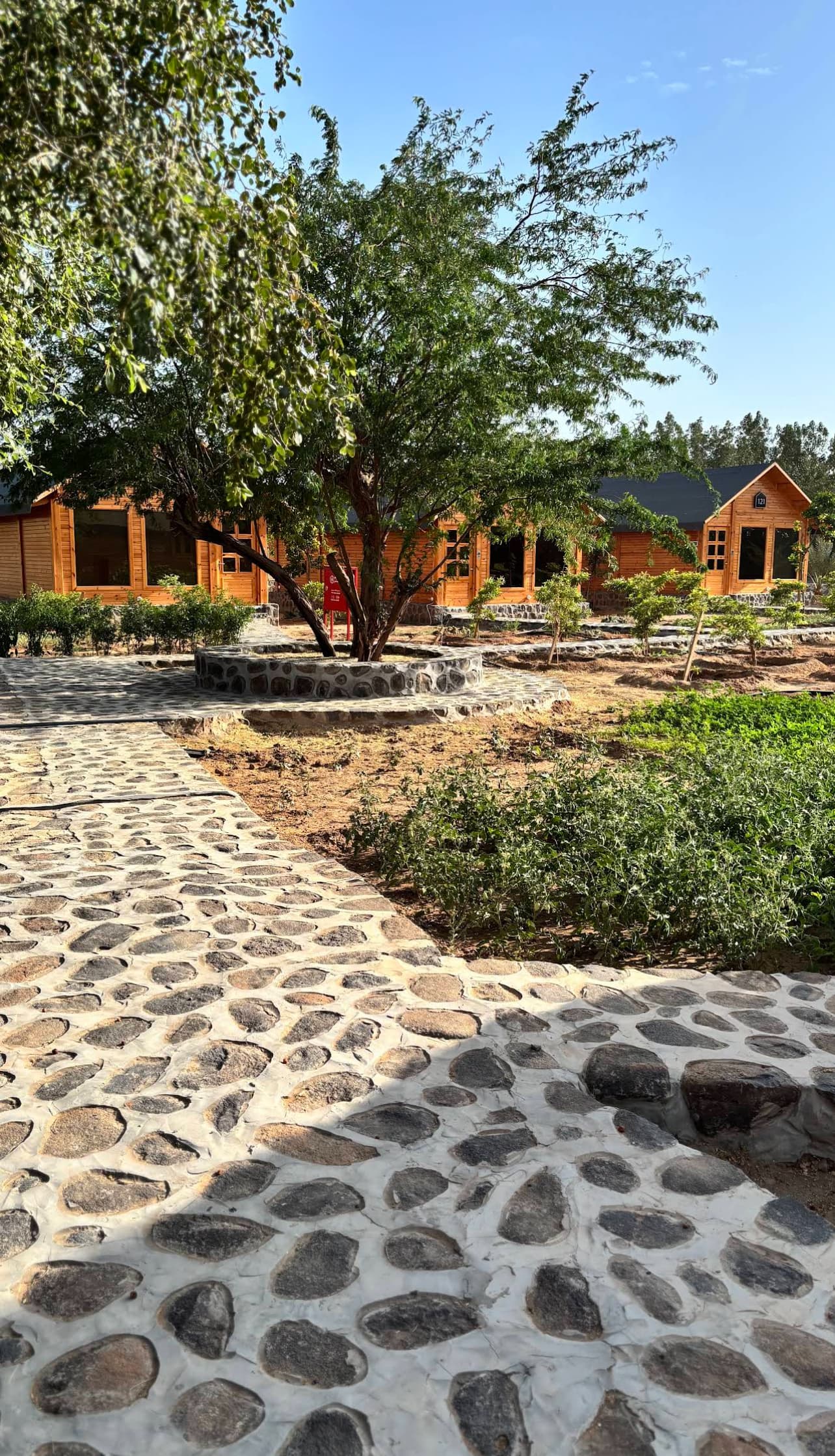 Naseem Mazraat Asfan – A pleasant nature tour